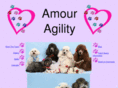 amouragility.com