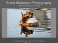 brentworkman.com