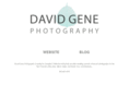 davidgenegallery.com