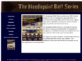 needlepointbeltbook.com