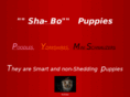 sha-bo-puppies.com