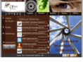 alasgestion.com