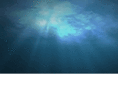 alaskandefever.com