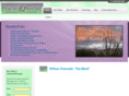 practicalpsychic.com