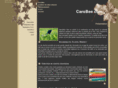 carobee.com