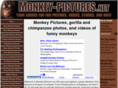 monkey-pictures.net