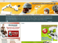 surgicalmicroscope.net