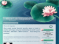 wholelifeintegration.net