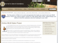 your-mlm-guide.com