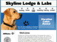 skylinelodge-labs.com