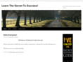 thesecret-to-success.com