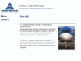 airlinesgsa.com