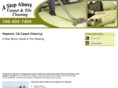 astepabovecarpetcleaning.com
