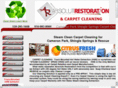 carpetcleaningcameronpark.com