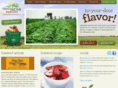 greenbeanindiana.com