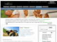 bulktobacco.net
