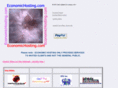 economichosting.com