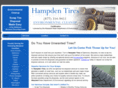 hampdentiredisposal.com