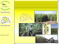 jamaicasugar.org