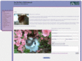 thecatclinicofnwarkansas.com