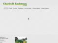 charlesblindstrom.com