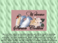 swancollies.com