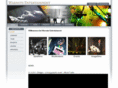 warnuts-film.com