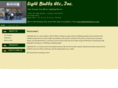 kansascitylightbulbs.com
