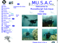 musac.co.uk