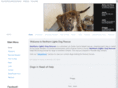northernlightsdogs.com