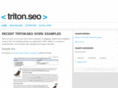 tritonseo.com