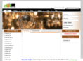 artsfinders.com
