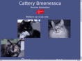 breenessca.nl