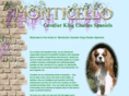 monticellocavaliers.com