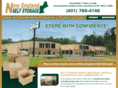 neselfstorage.com