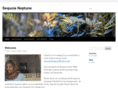 sequoianeptune.com
