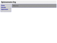 spinnennetz.org