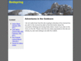 bedspring.co.uk