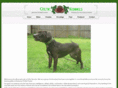 celtickennels.net