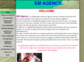 emagencyins.com