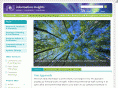 infoinsights.com