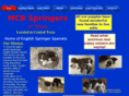 mcbspringers.com