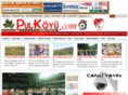 pulkoyu.com