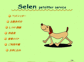web-selen.com
