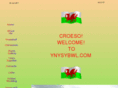 ynysybwl.com