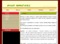 akashexim.com