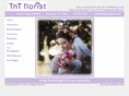 tntflorist.com