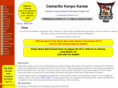 camarillokarate.com