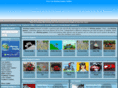 drivinggamesonline.net
