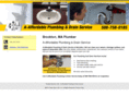 aaffordabledrain.com